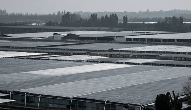 核对清单:工商查询服务使用中的资源管理要点